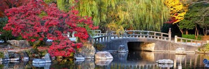 Port-of-Spain - Nagoya