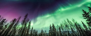 Washington, D.C. - Fairbanks