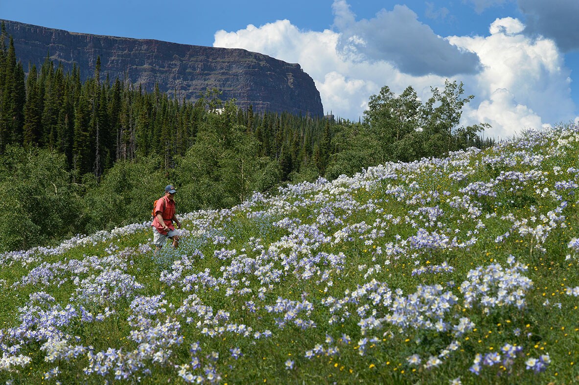 United Cheap Flights to Steamboat Springs from 138 United Airlines