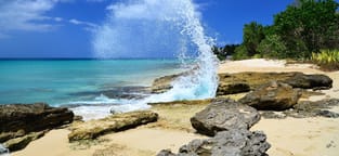 Atlanta - Saint Croix