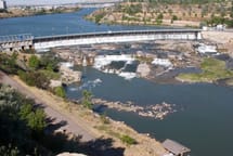 Vienna - Great Falls